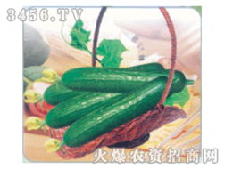 綠色商機 蔬菜種子招商代理加盟批發全攻略
